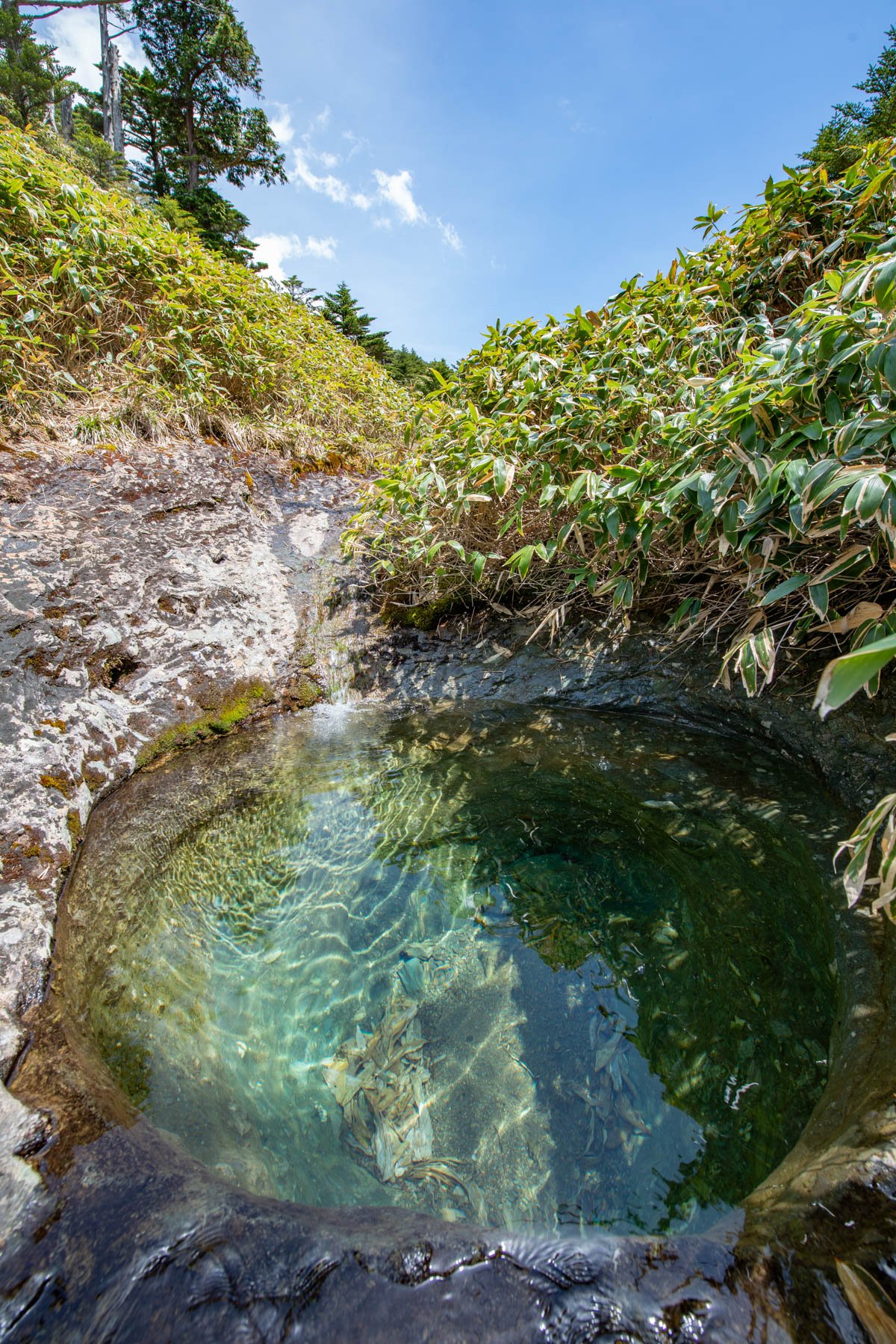 ⛰️ 항아리 숲(카메가모리) 이미지 8